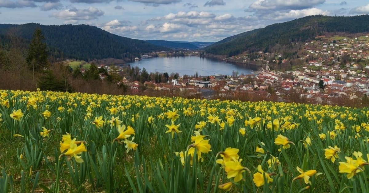 Apartment Logis Gerardmer