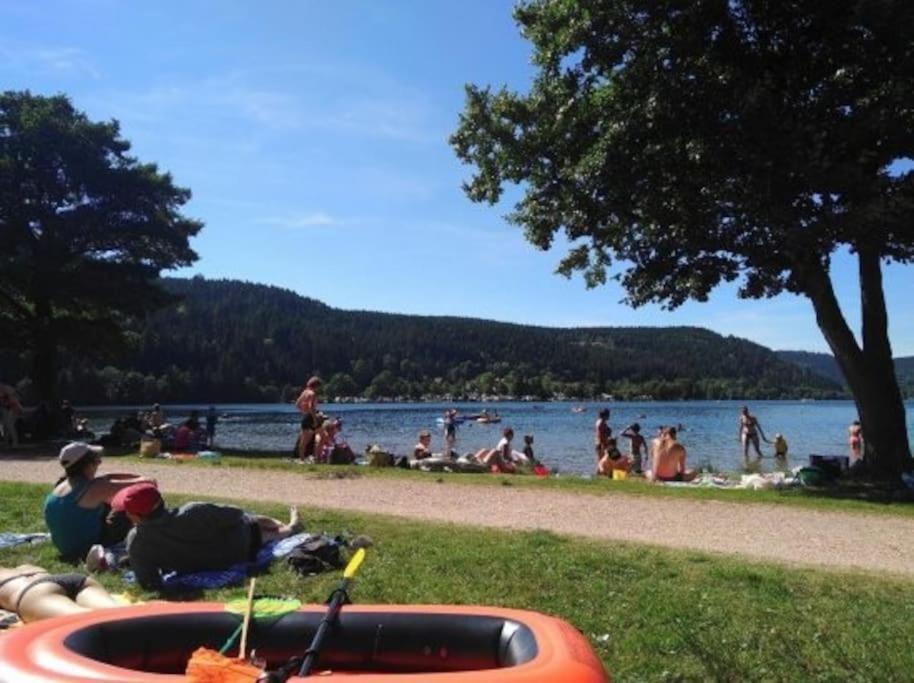 Logis Apartment Gerardmer
