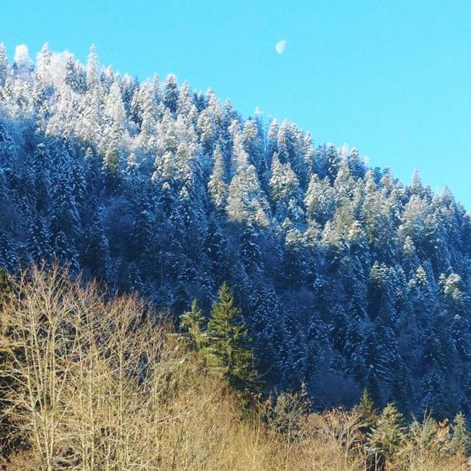Logis Gerardmer