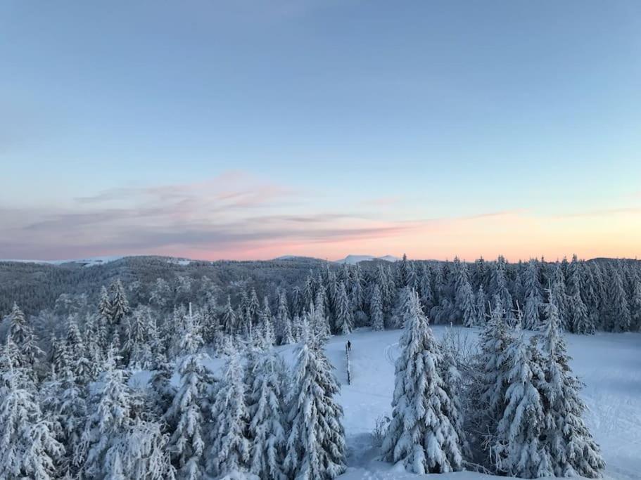 Logis Gerardmer