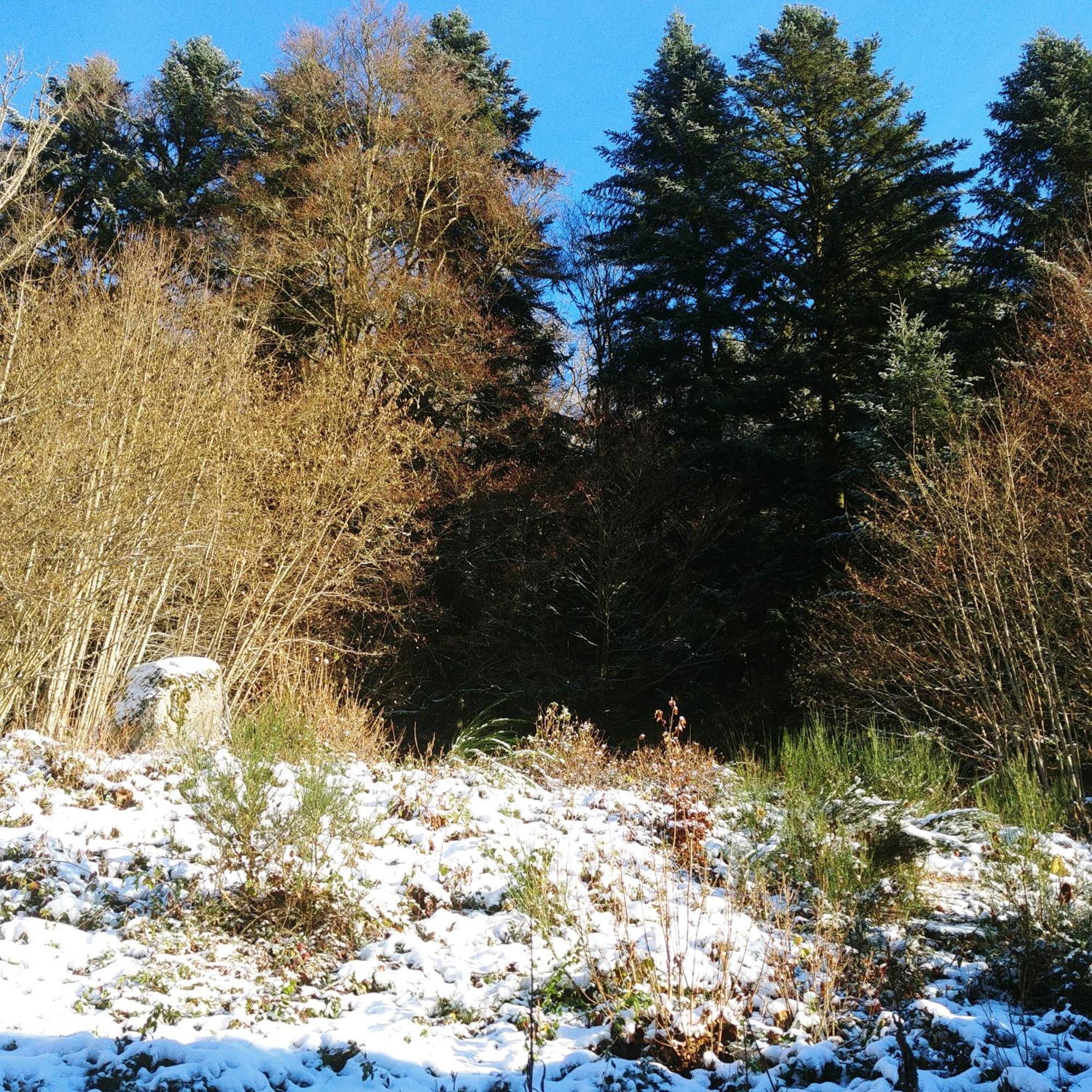Logis Apartment Gerardmer